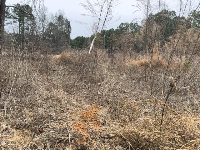 $144,900 | 0 Mt Pleasant Church Road, Manson, NC 27553