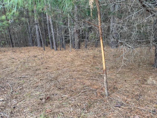 $144,900 | 0 Mt Pleasant Church Road, Manson, NC 27553