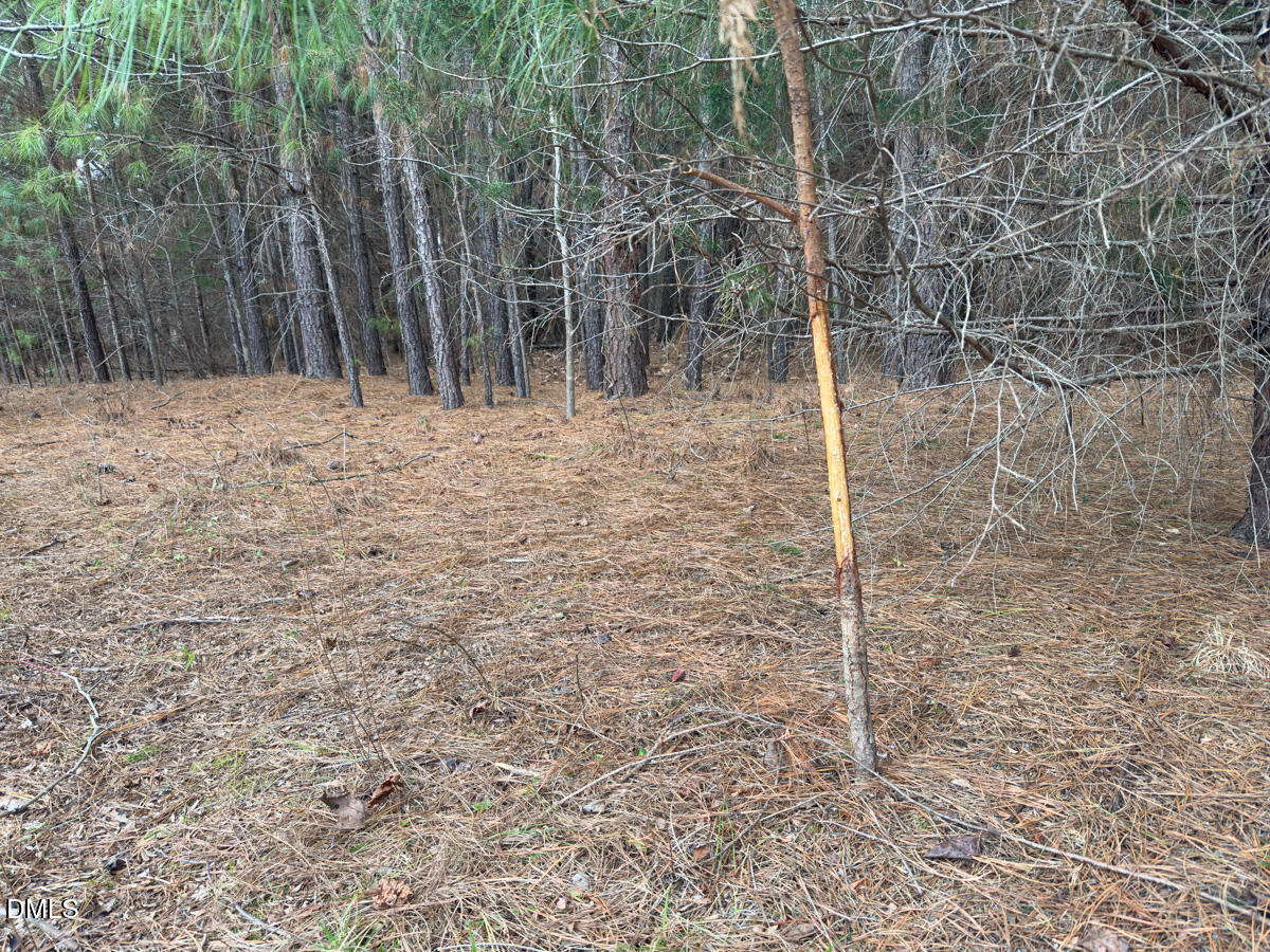 0 Mt Pleasant Church Road Manson, NC 27553 - Photo 9 of 43 9