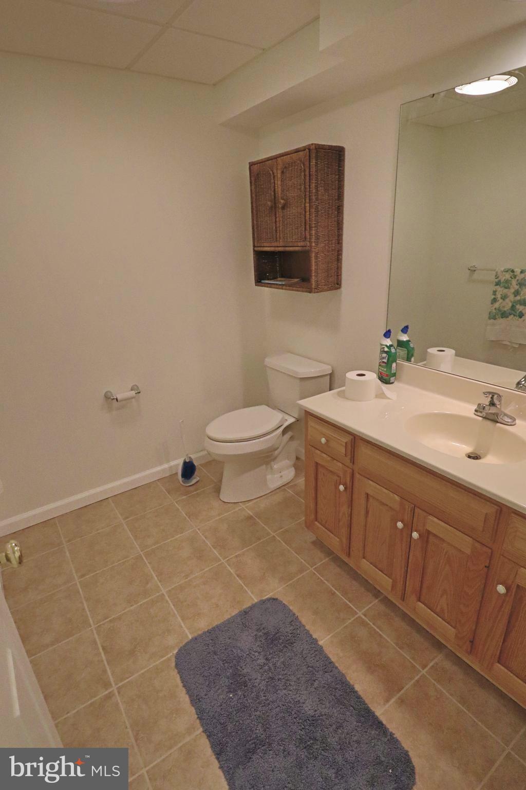 660 Snyder Hill Road Lititz, PA 17543 - Photo 32 of 51 a bathroom with a sink a toilet and mirror
