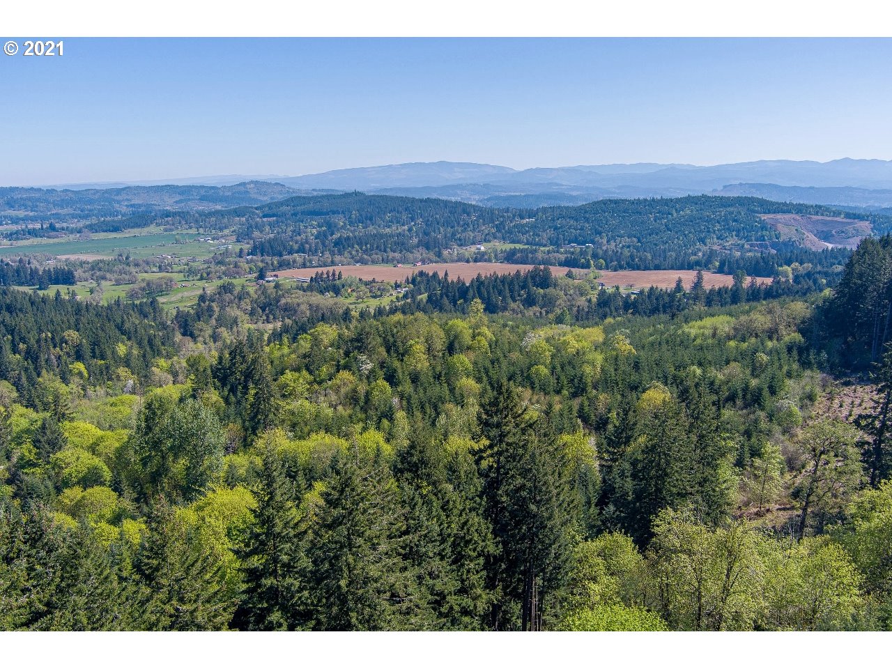 37939 Middle Ridge Road, Unit TL503 Lebanon, OR 97355 - Photo 8 of 32 Gallery Image 8