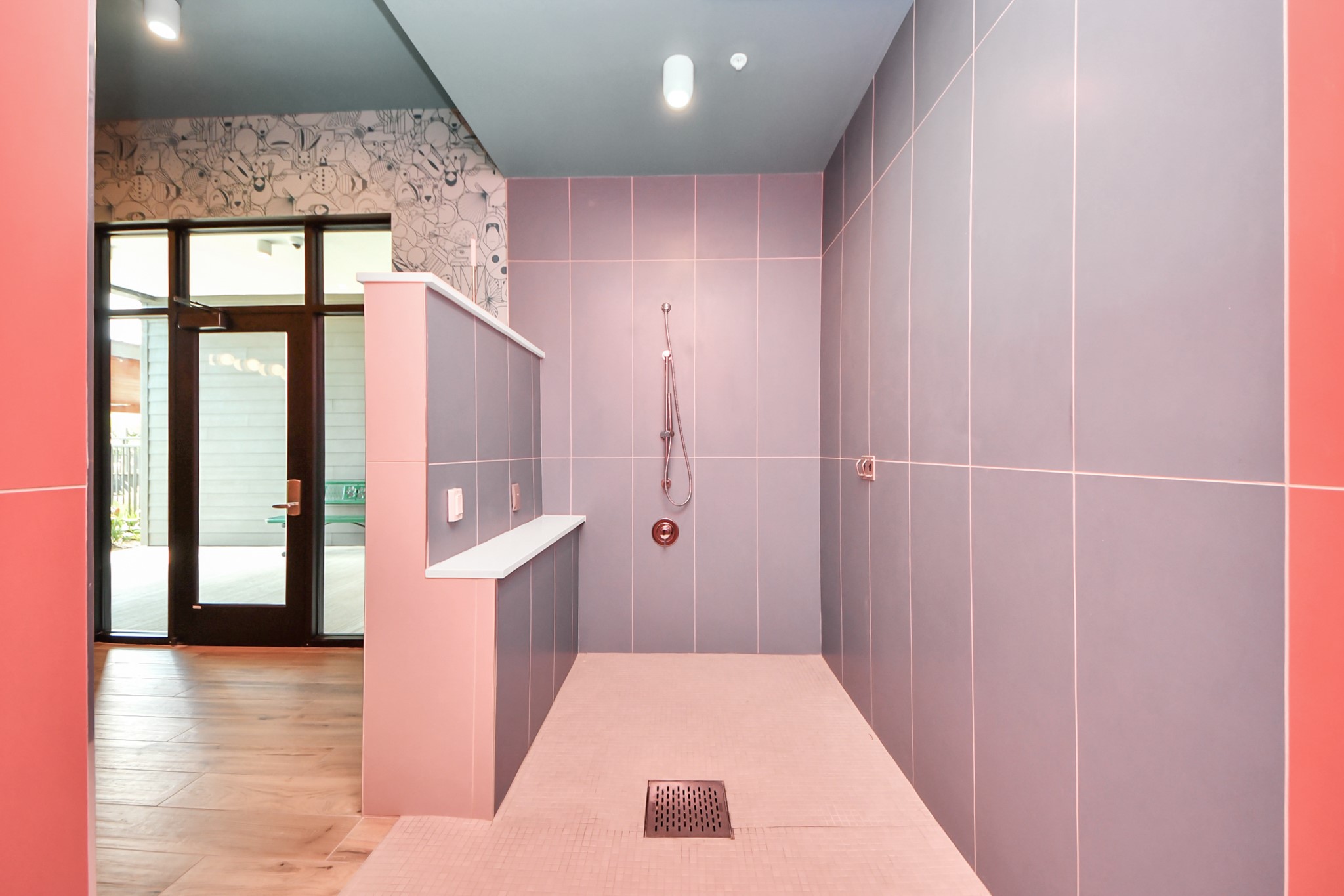 1617 Enid Street, Unit 409 Houston, TX 77009 - Photo 44 of 49 Pet Spa