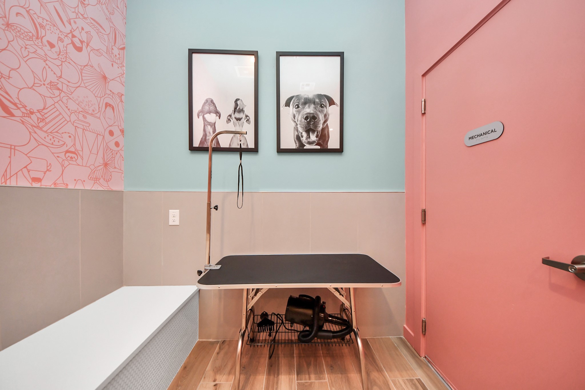 1617 Enid Street, Unit 409 Houston, TX 77009 - Photo 45 of 49 Pet Spa