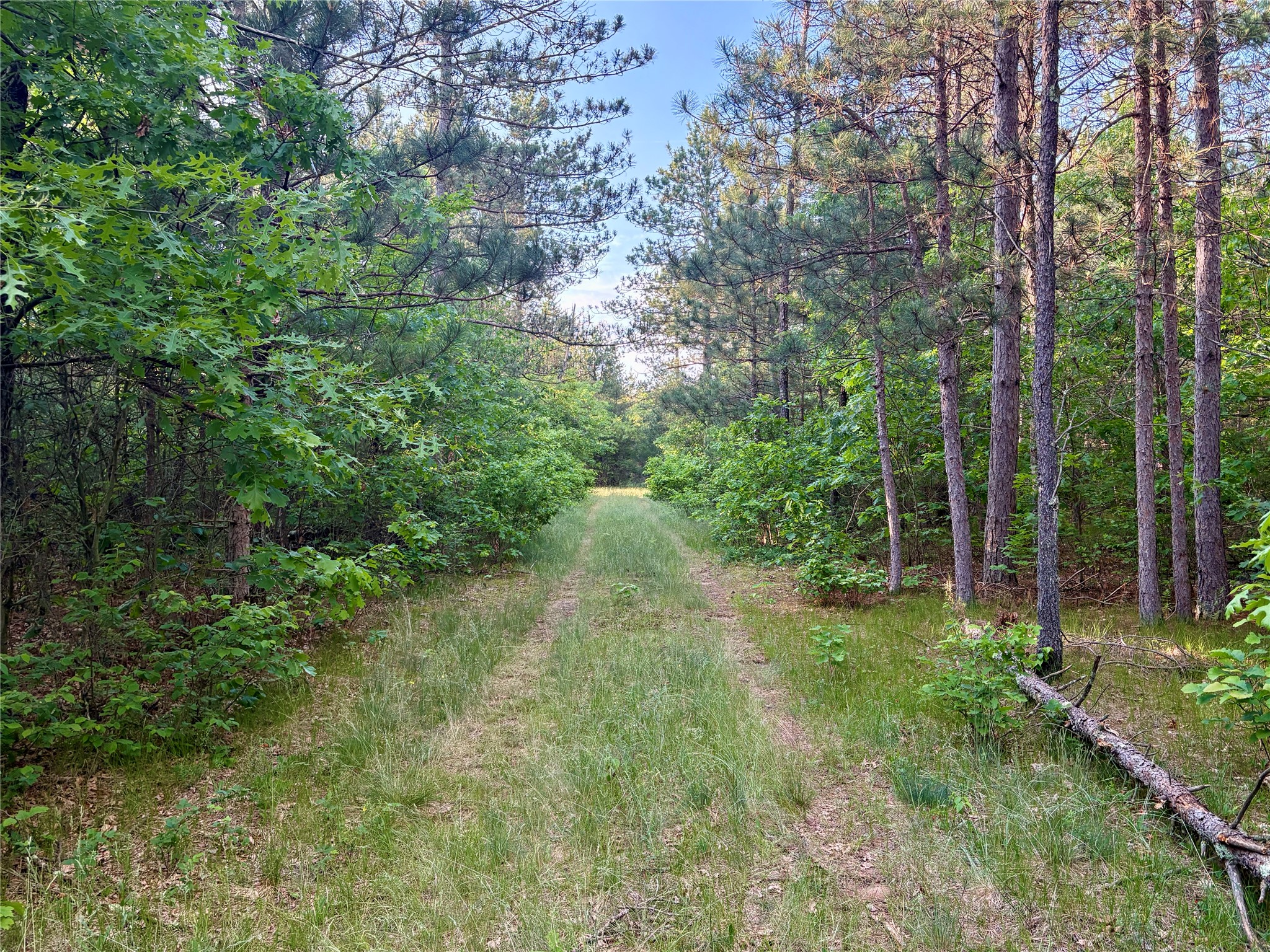 0 Cty Road Augusta, WI 54722 - Photo 46 of 53