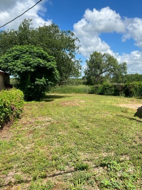 1213 North Harborth Avenue Three Rivers, TX 78071 - Photo 2 of 4