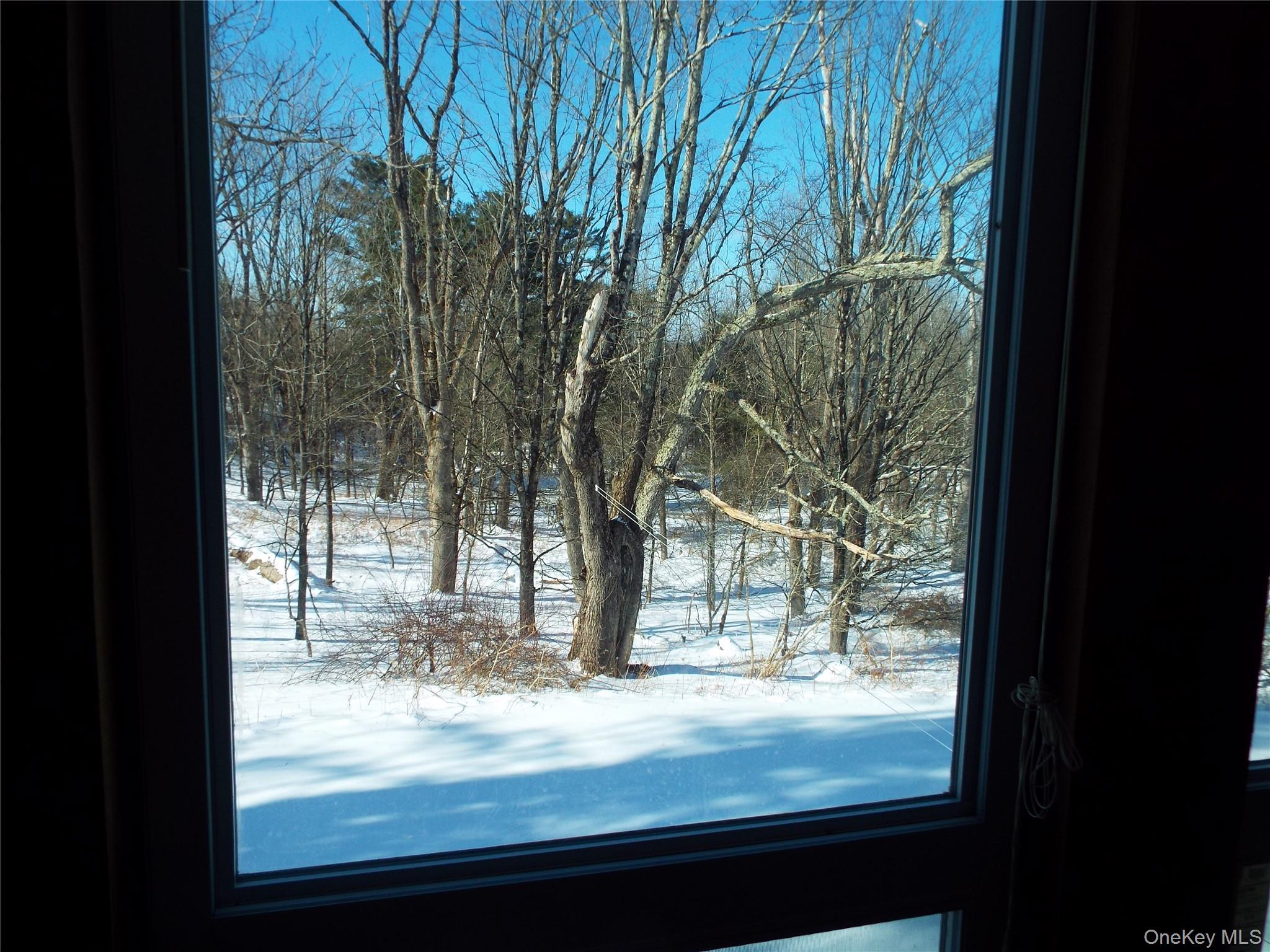 2492 State Rt 17B Cochecton, NY 12726 - Photo 23 of 31 11 Gabriel Road Unit TR42, Bethel, NY