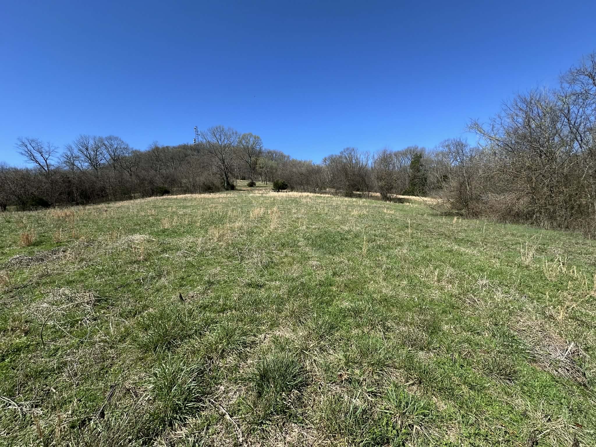 0 Templow Road Bethpage, TN 37022 - Photo 2 of 6