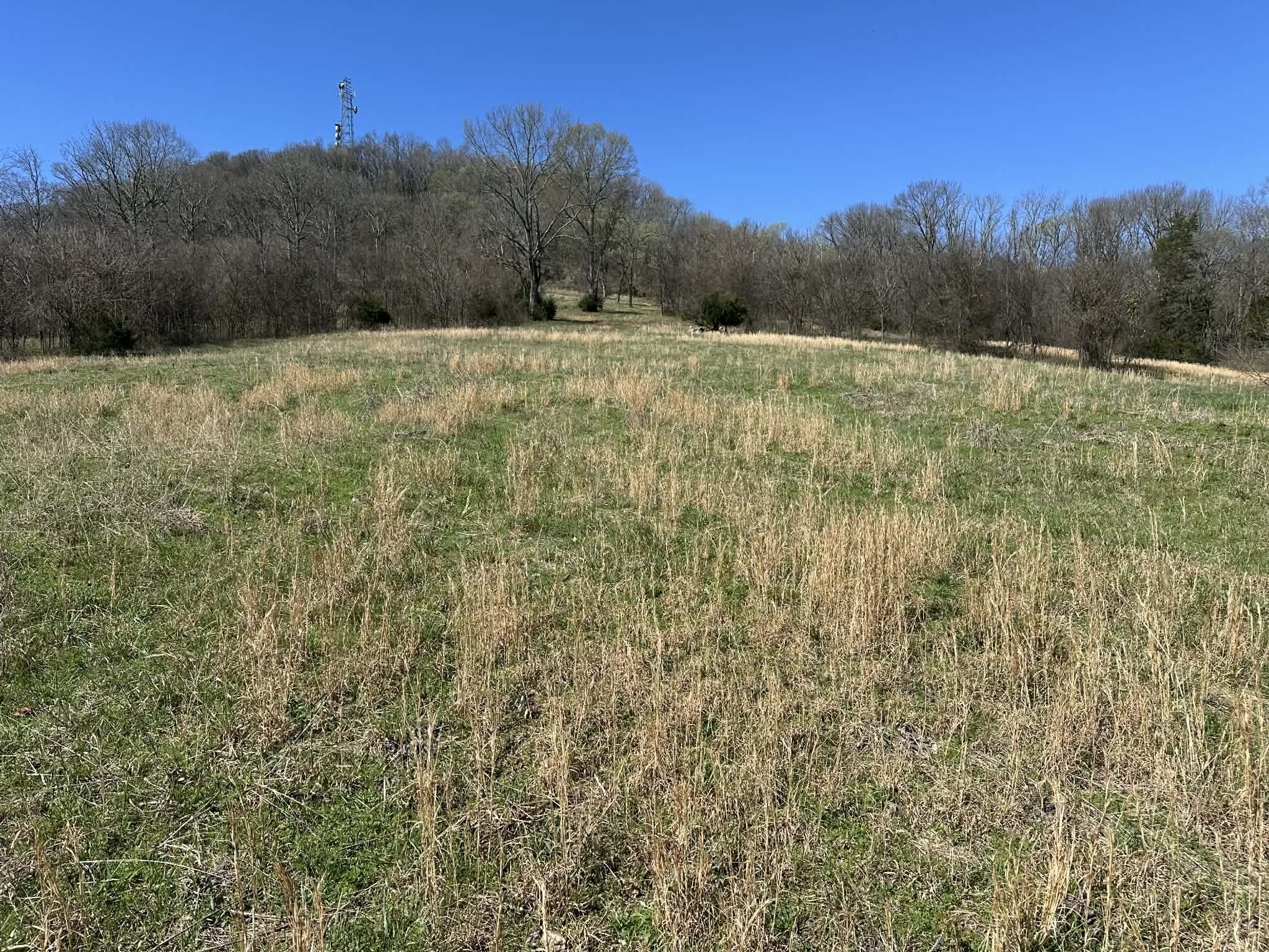 0 Templow Road Bethpage, TN 37022 - Photo 3 of 6