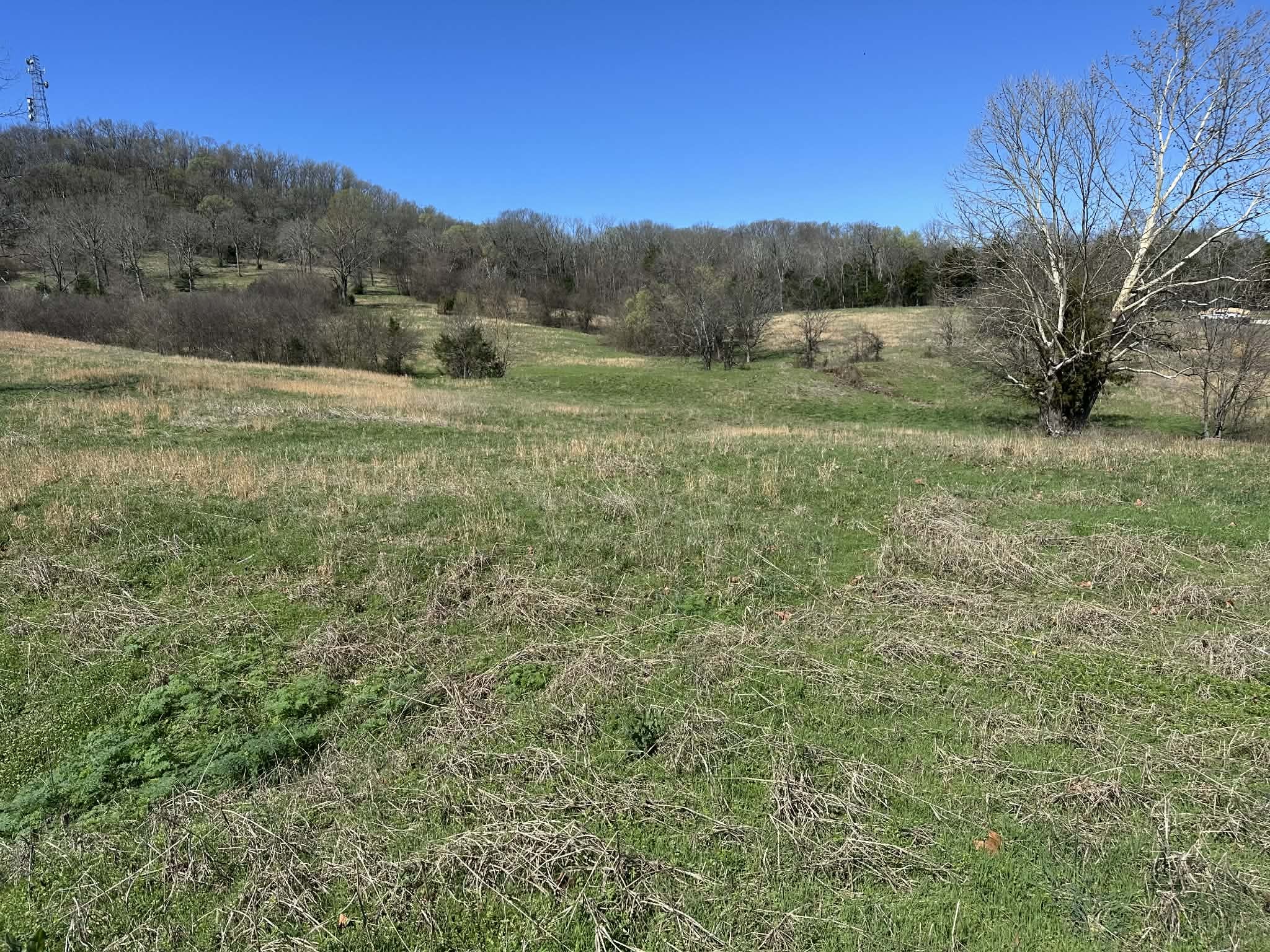 0 Templow Road Bethpage, TN 37022 - Photo 4 of 6