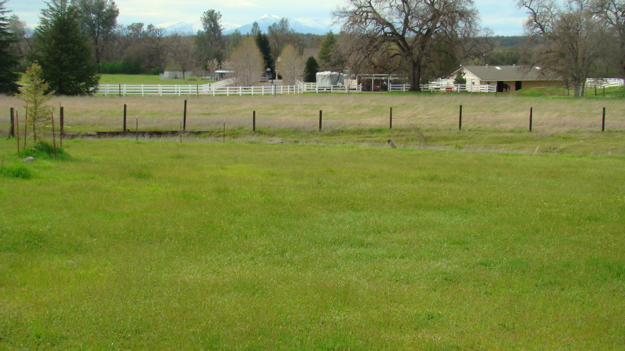 8520 Silver Bridge Road Palo Cedro, CA 96073 - Photo 1 of 14 Two Homes 4 Acres