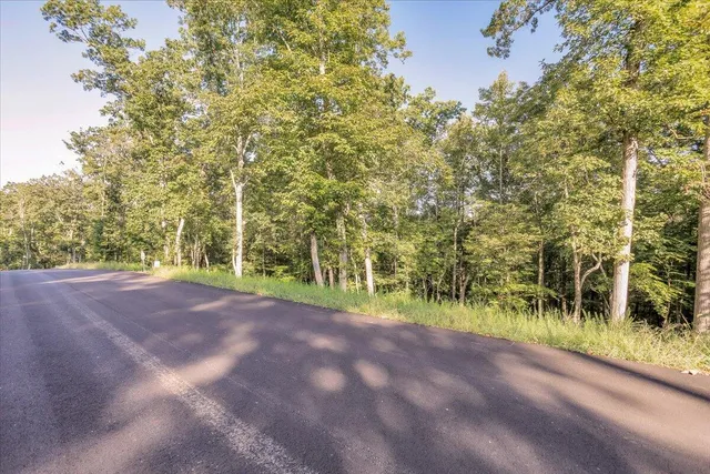 a view of a yard with plants and trees