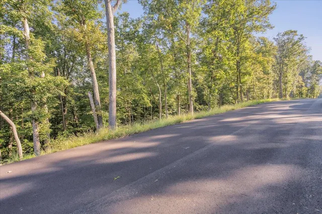 a view of a yard with a tree