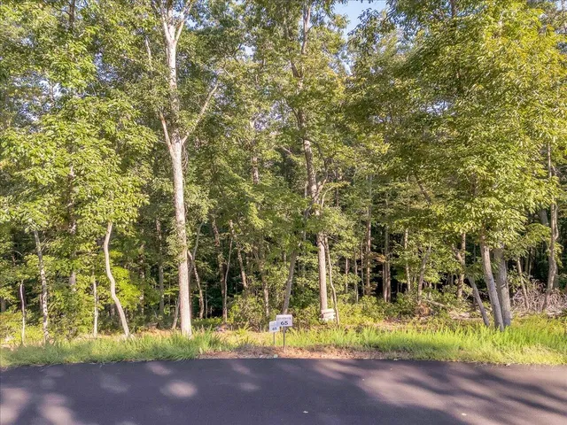 a view of swimming pool of the house and outdoor space