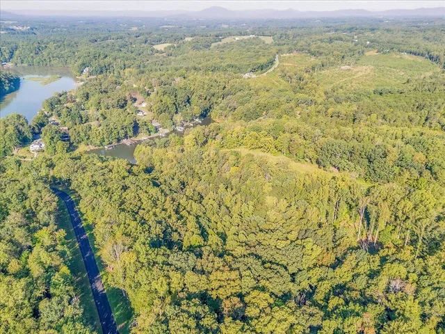 an aerial view of residential houses with outdoor space and trees