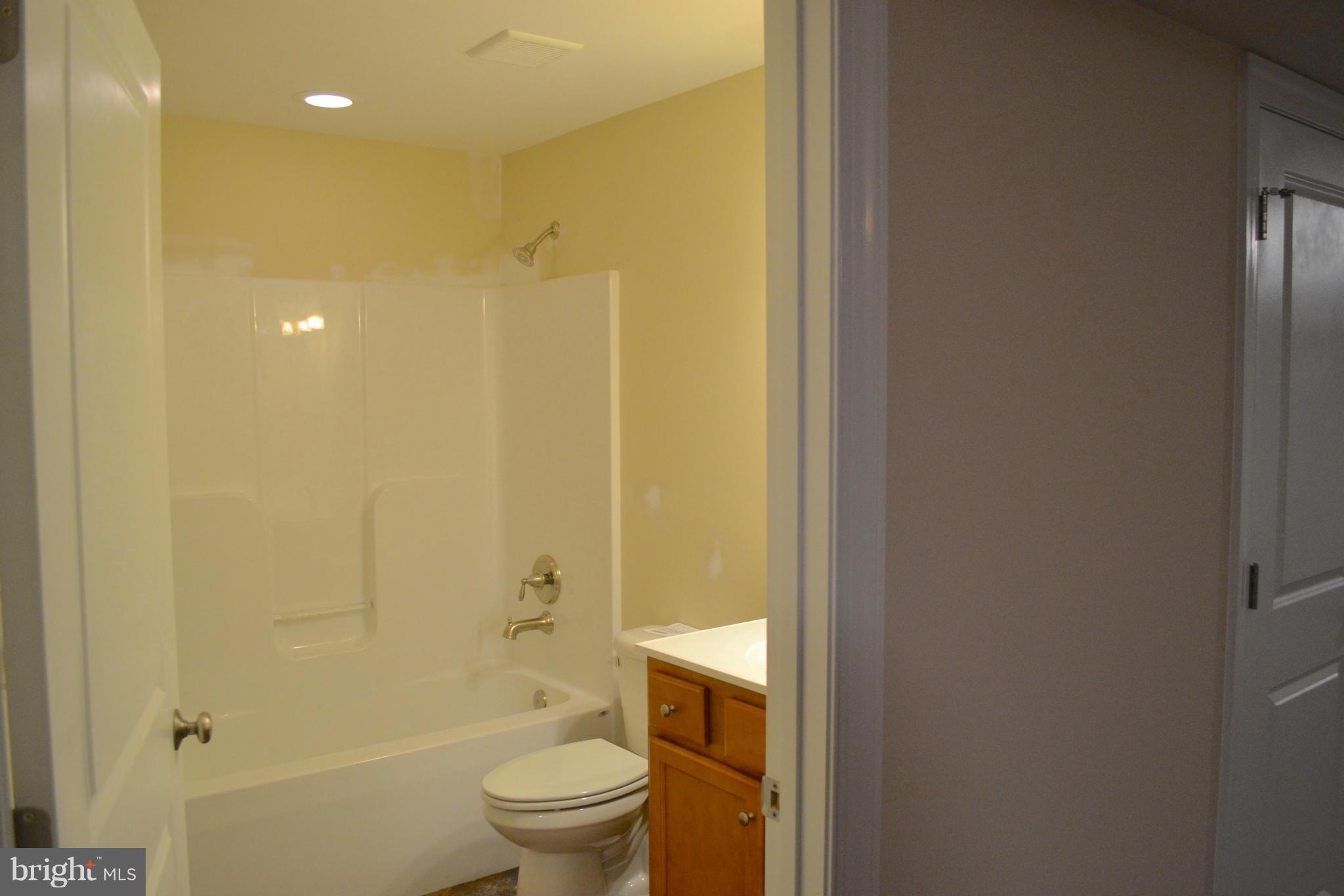 11680 Alum Springs Road Rixeyville, VA 22737 - Photo 18 of 29 Full Bath in lower level