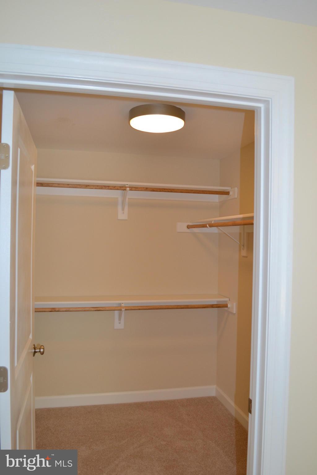 11680 Alum Springs Road Rixeyville, VA 22737 - Photo 19 of 29 Bedroom #4 walk in closet