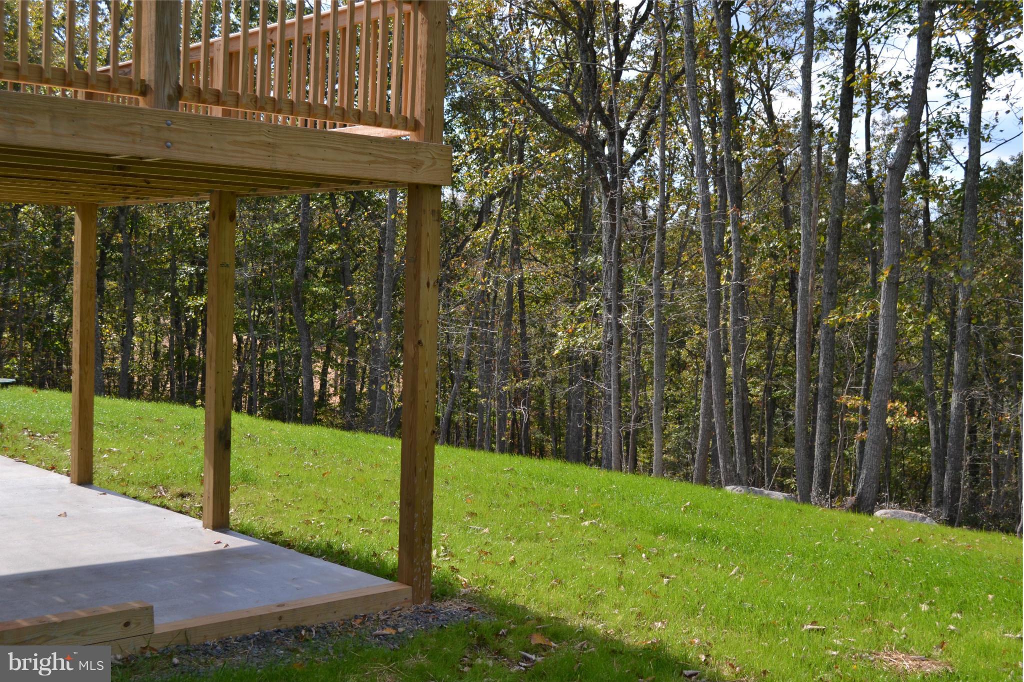 11680 Alum Springs Road Rixeyville, VA 22737 - Photo 24 of 29 Beautiful yard w/ fall/winter mountain views