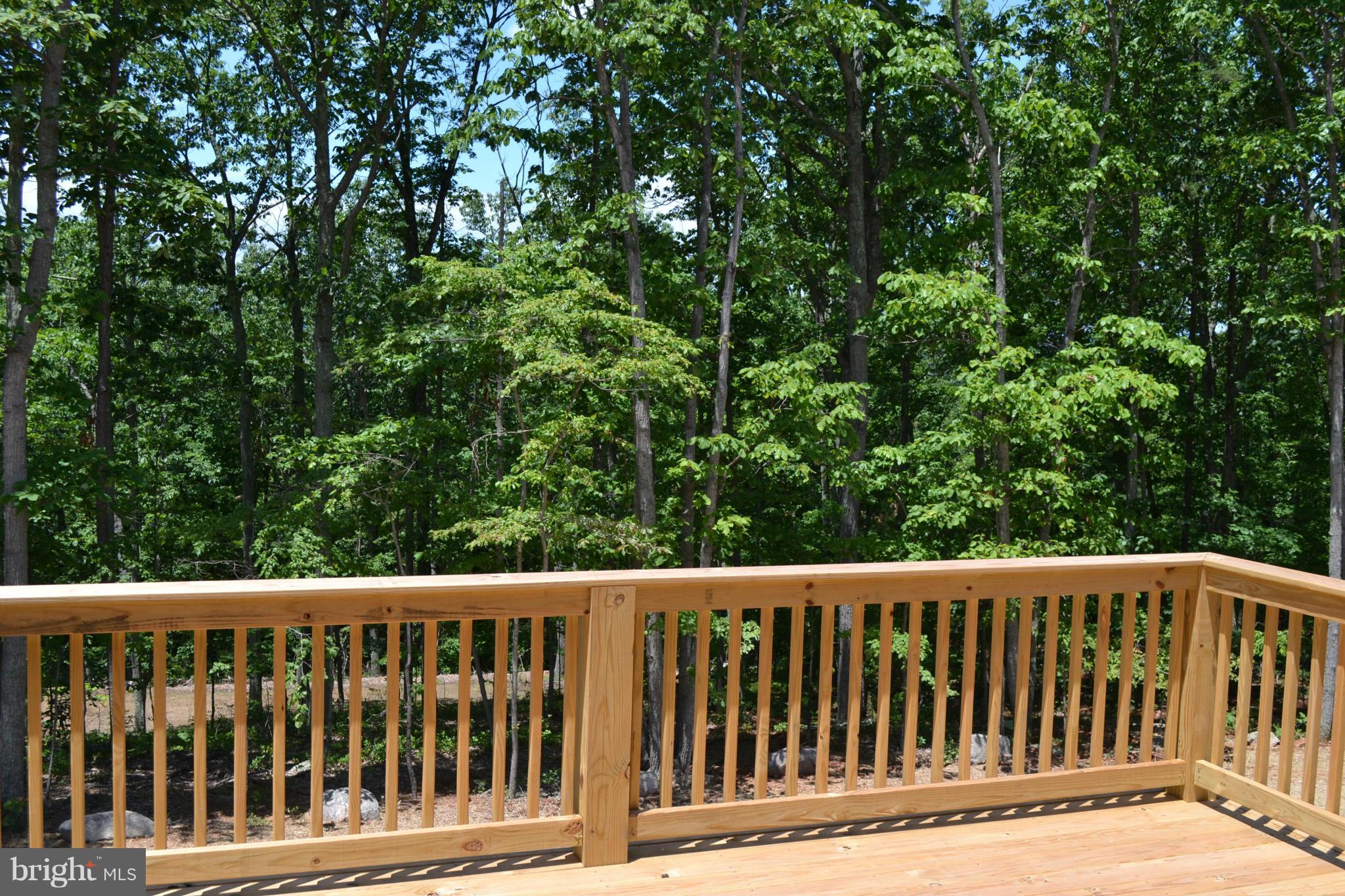 11680 Alum Springs Road Rixeyville, VA 22737 - Photo 25 of 29 12' x 14' rear deck