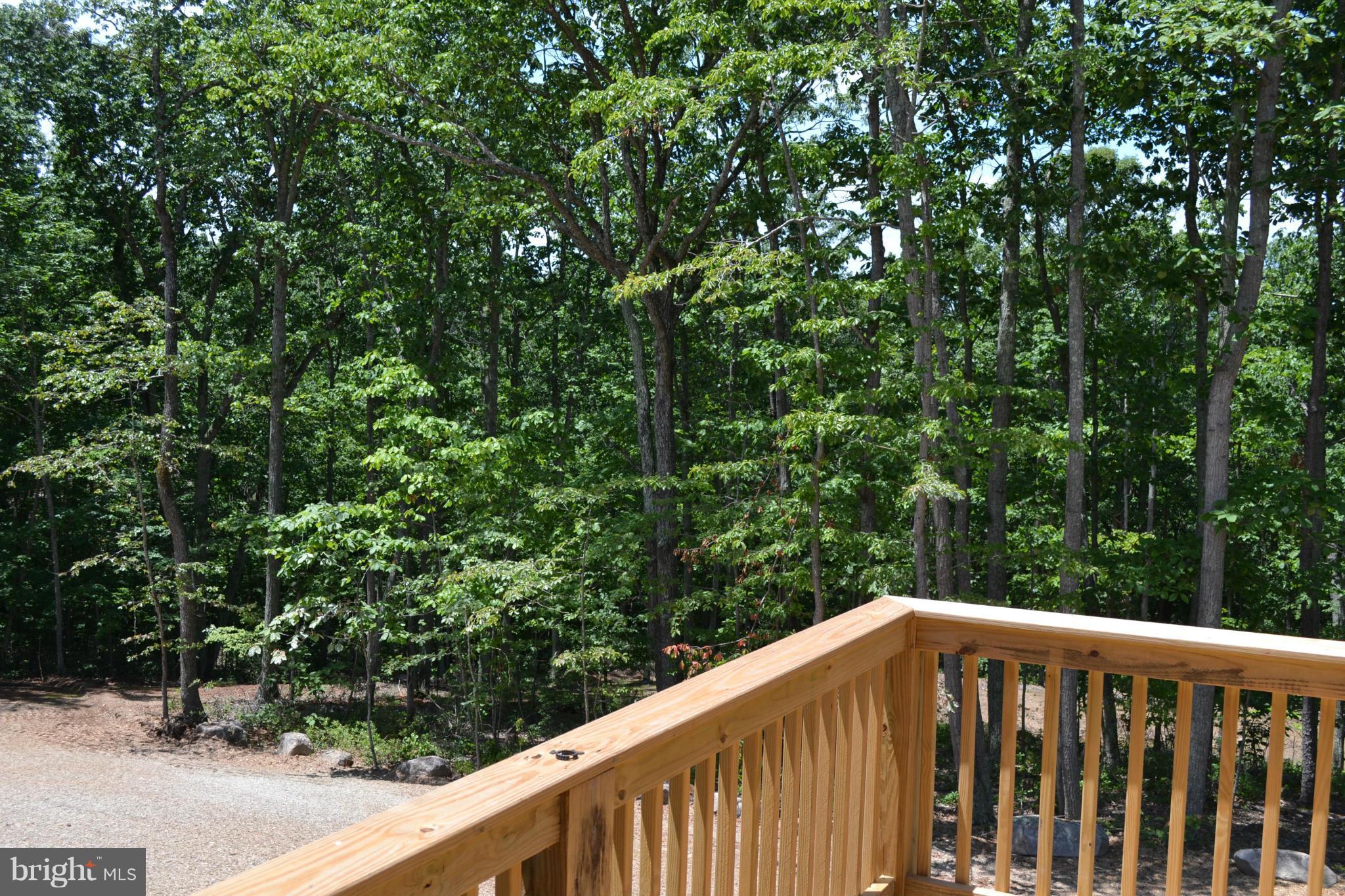 11680 Alum Springs Road Rixeyville, VA 22737 - Photo 26 of 29 Views from rear deck