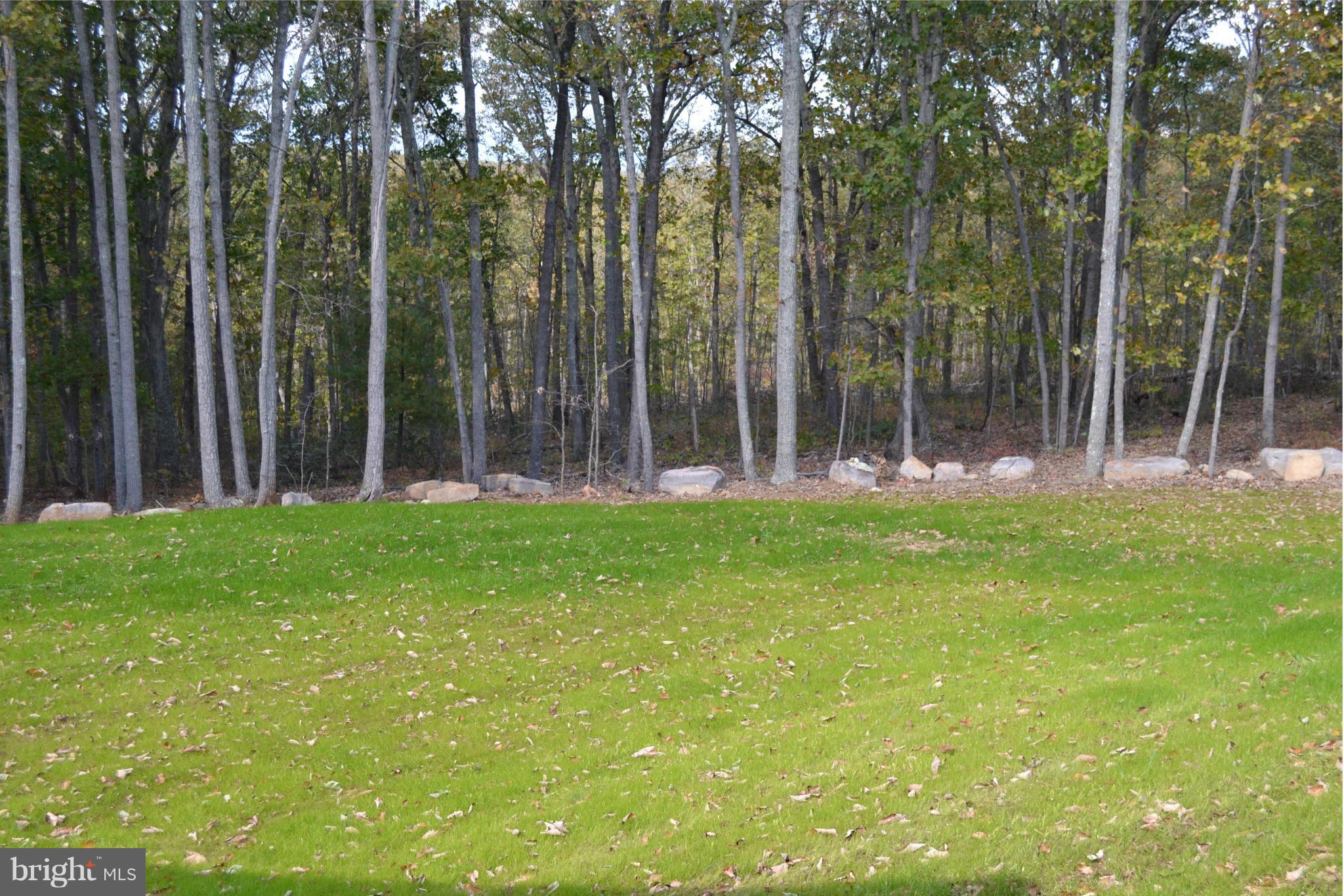 11680 Alum Springs Road Rixeyville, VA 22737 - Photo 4 of 29 Side yard with plenty of parking & turn around