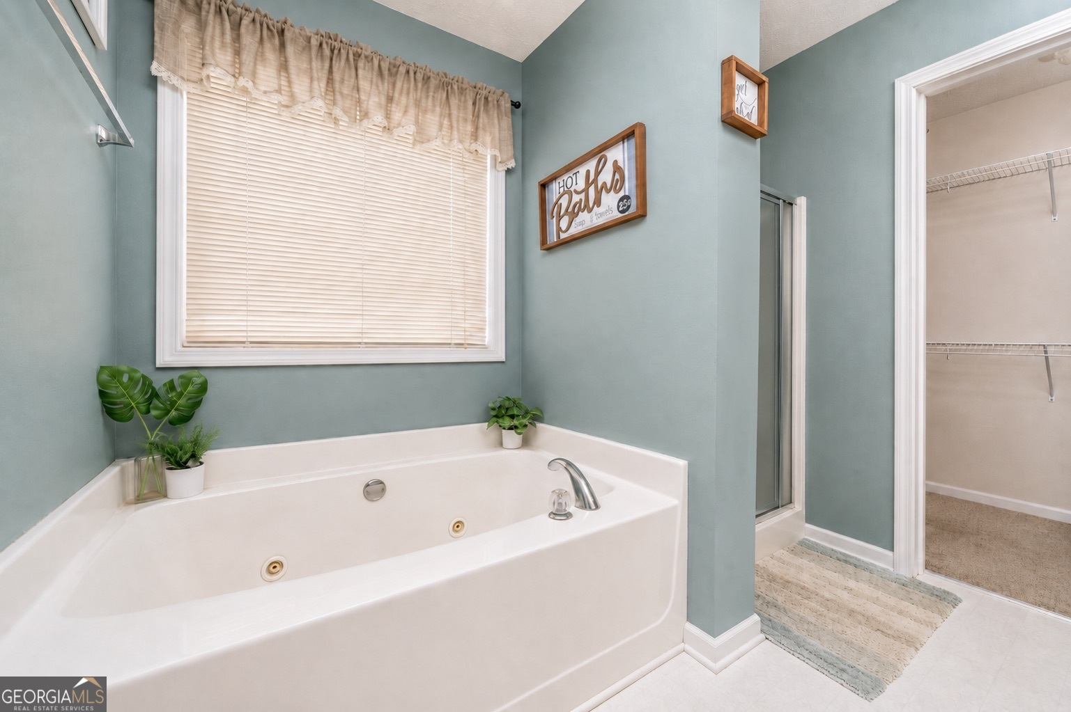 602 Saddle Ridge Drive Bethlehem, GA 30620 - Photo 33 of 43