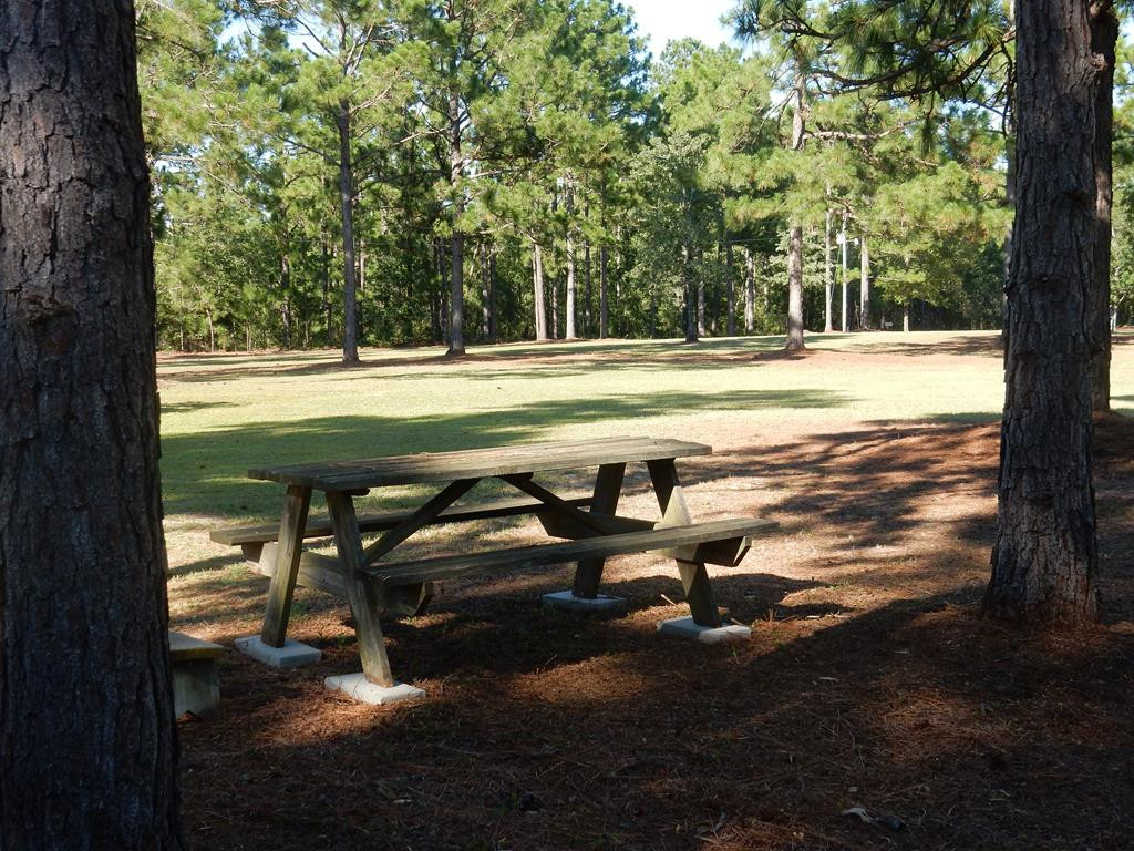 624-626 North Windsor Road Windsor, SC 29856 - Photo 2 of 20