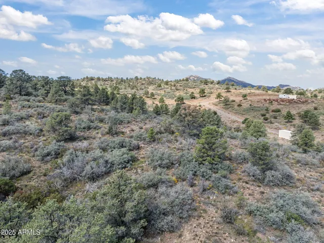 a view of a big yard with lots of trees