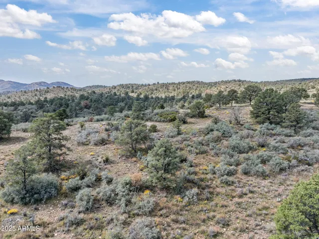 a view of a city with mountains in the background