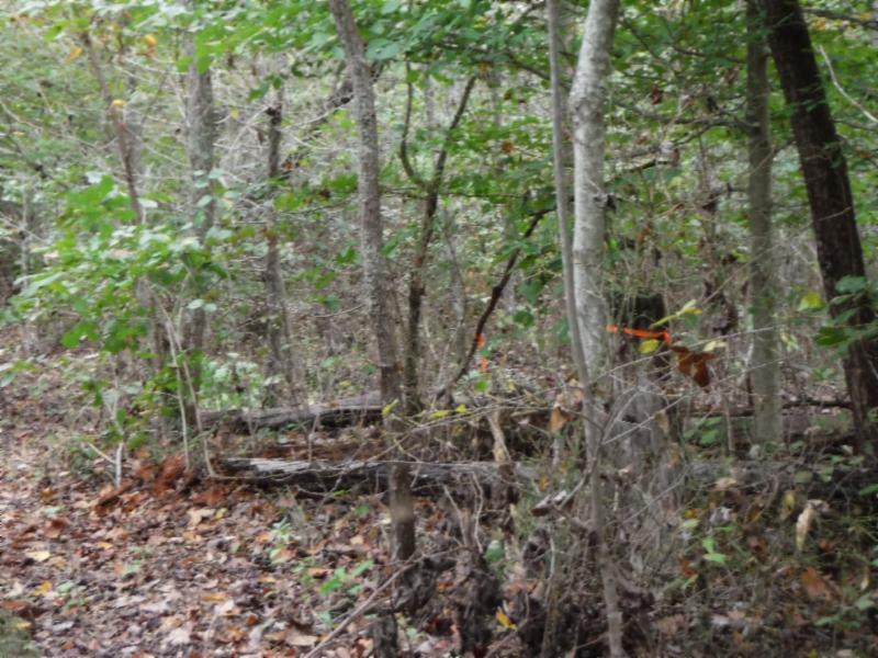 24-ac South Fork Road Whitleyville, TN 38588 - Photo 11 of 23 DSCF8300