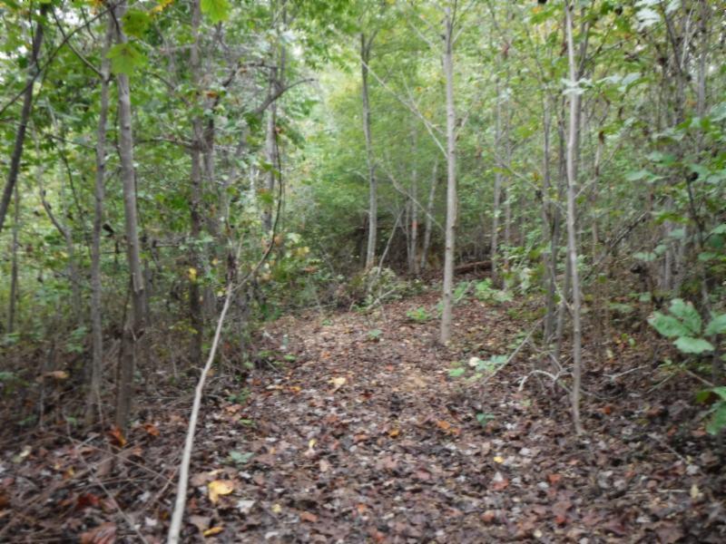 24-ac South Fork Road Whitleyville, TN 38588 - Photo 13 of 23 DSCF8303