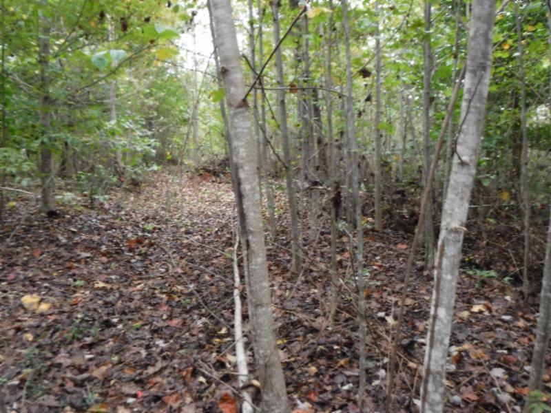 24-ac South Fork Road Whitleyville, TN 38588 - Photo 14 of 23 DSCF8304