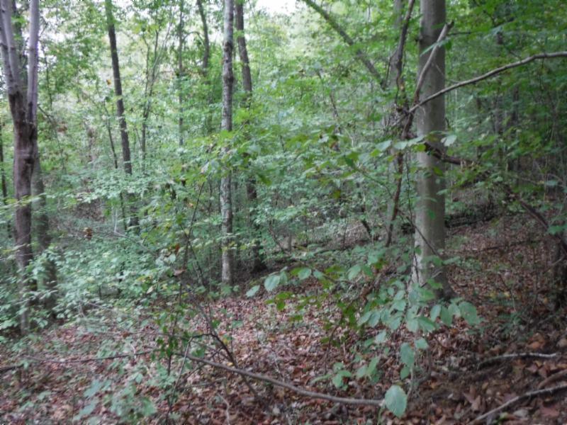 24-ac South Fork Road Whitleyville, TN 38588 - Photo 16 of 23 DSCF8313