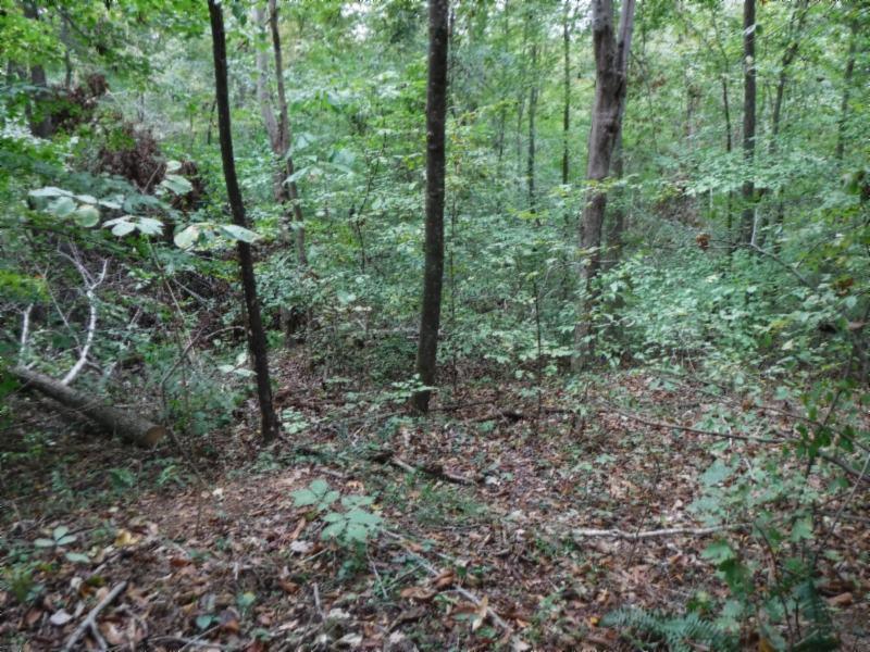 24-ac South Fork Road Whitleyville, TN 38588 - Photo 17 of 23 DSCF8314