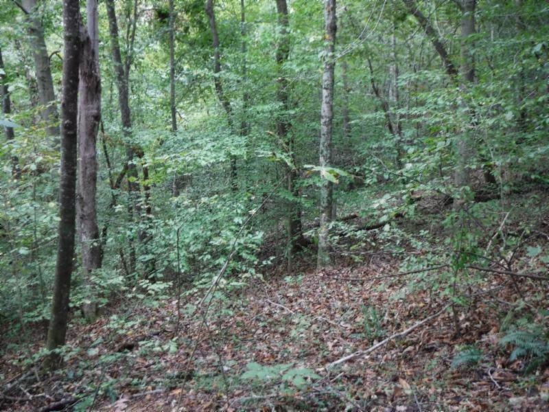 24-ac South Fork Road Whitleyville, TN 38588 - Photo 18 of 23 DSCF8316