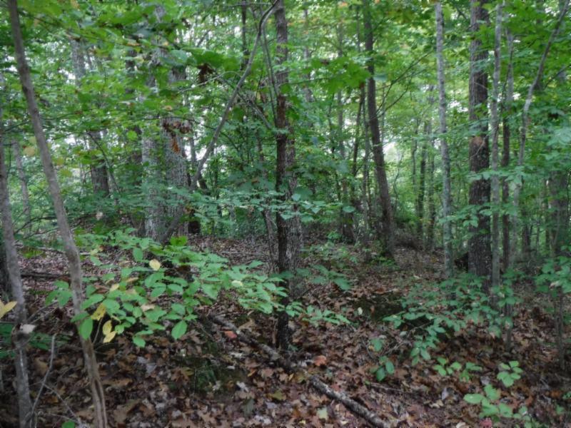 24-ac South Fork Road Whitleyville, TN 38588 - Photo 19 of 23 DSCF8320