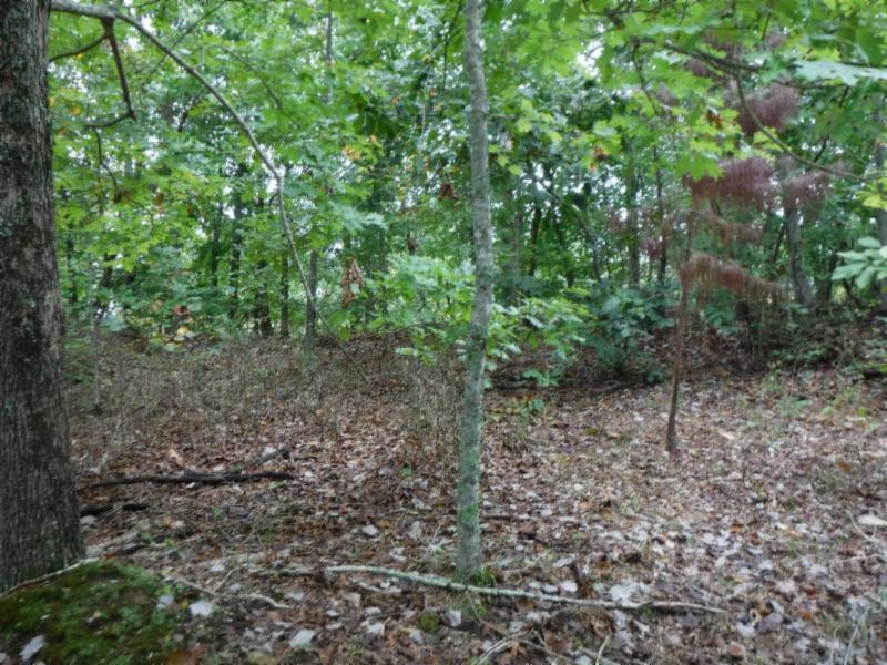 24-ac South Fork Road Whitleyville, TN 38588 - Photo 20 of 23 DSCF8325
