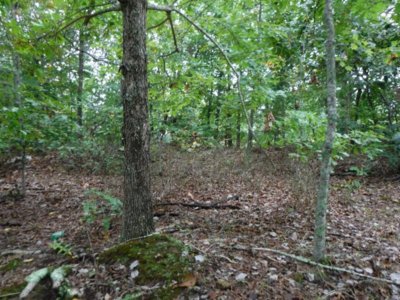 24-ac South Fork Road Whitleyville, TN 38588 - Photo 21 of 23 DSCF8326