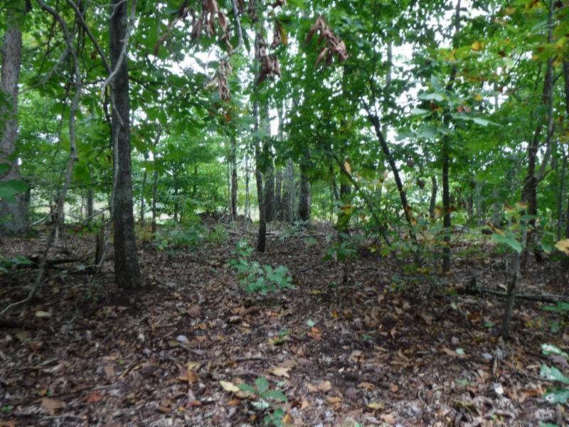 24-ac South Fork Road Whitleyville, TN 38588 - Photo 22 of 23 DSCF8329