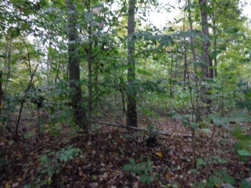 24-ac South Fork Road Whitleyville, TN 38588 - Photo 23 of 23 DSCF8340