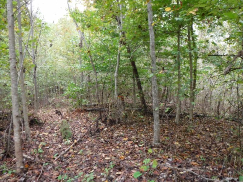 24-ac South Fork Road Whitleyville, TN 38588 - Photo 10 of 23 DSCF8299