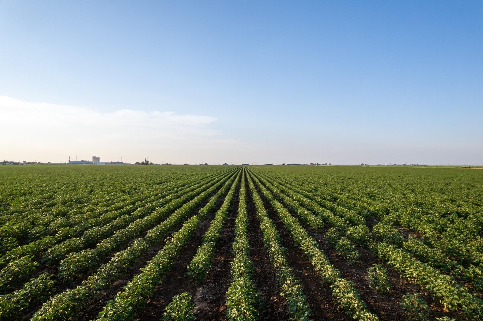 0 Shepard Street Abernathy, TX 79311 - Photo 2 of 7 a view of an ocean