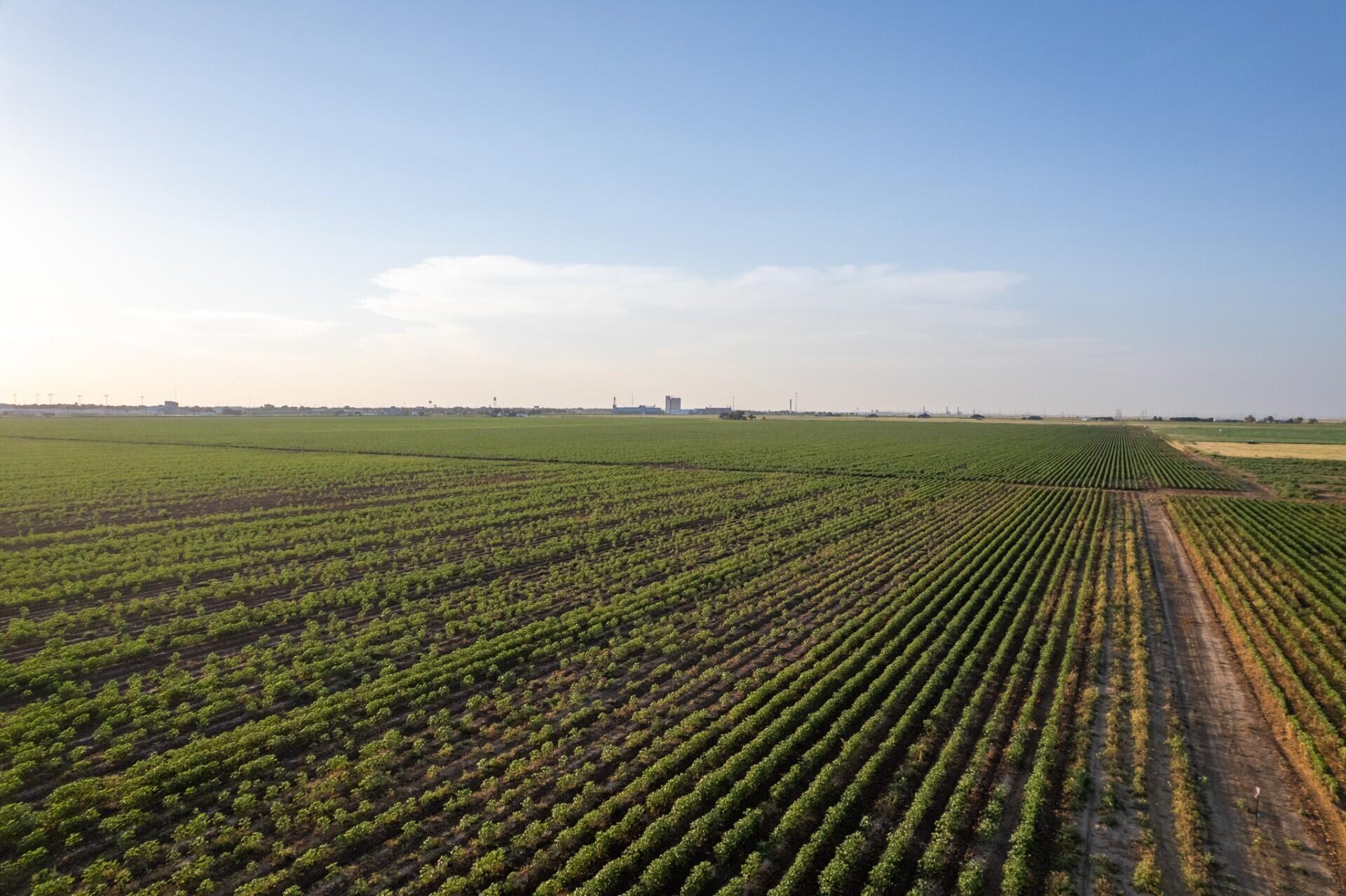 0 Shepard Street Abernathy, TX 79311 - Photo 3 of 7 a view of an ocean from a balcony