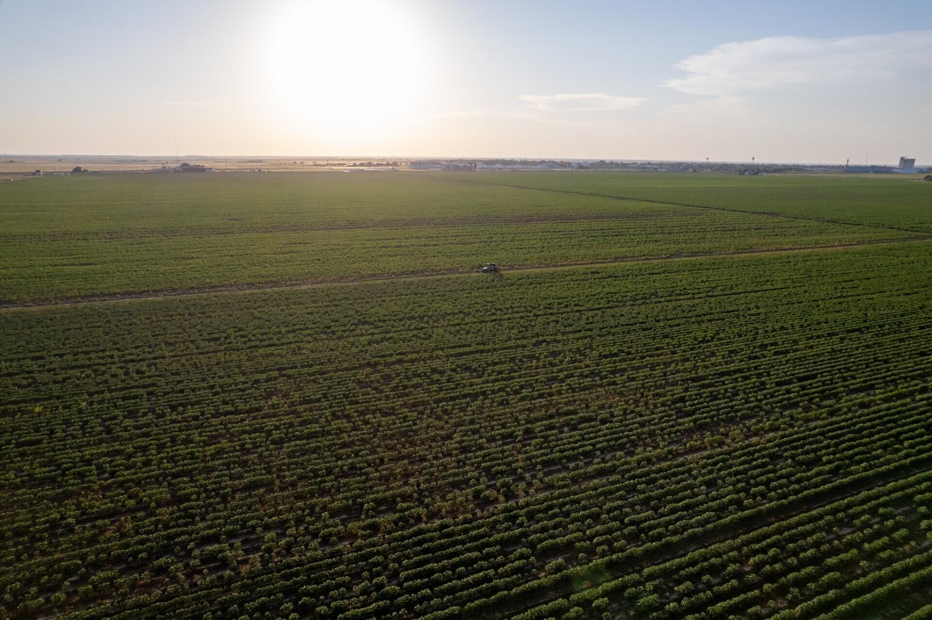 0 Shepard Street Abernathy, TX 79311 - Photo 5 of 7 a view of an ocean from a balcony