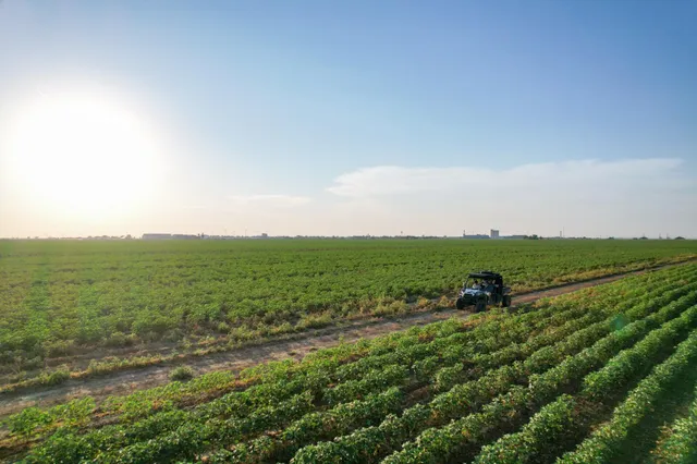 $49,900 | 0 Shepard Street, Abernathy, TX 79311