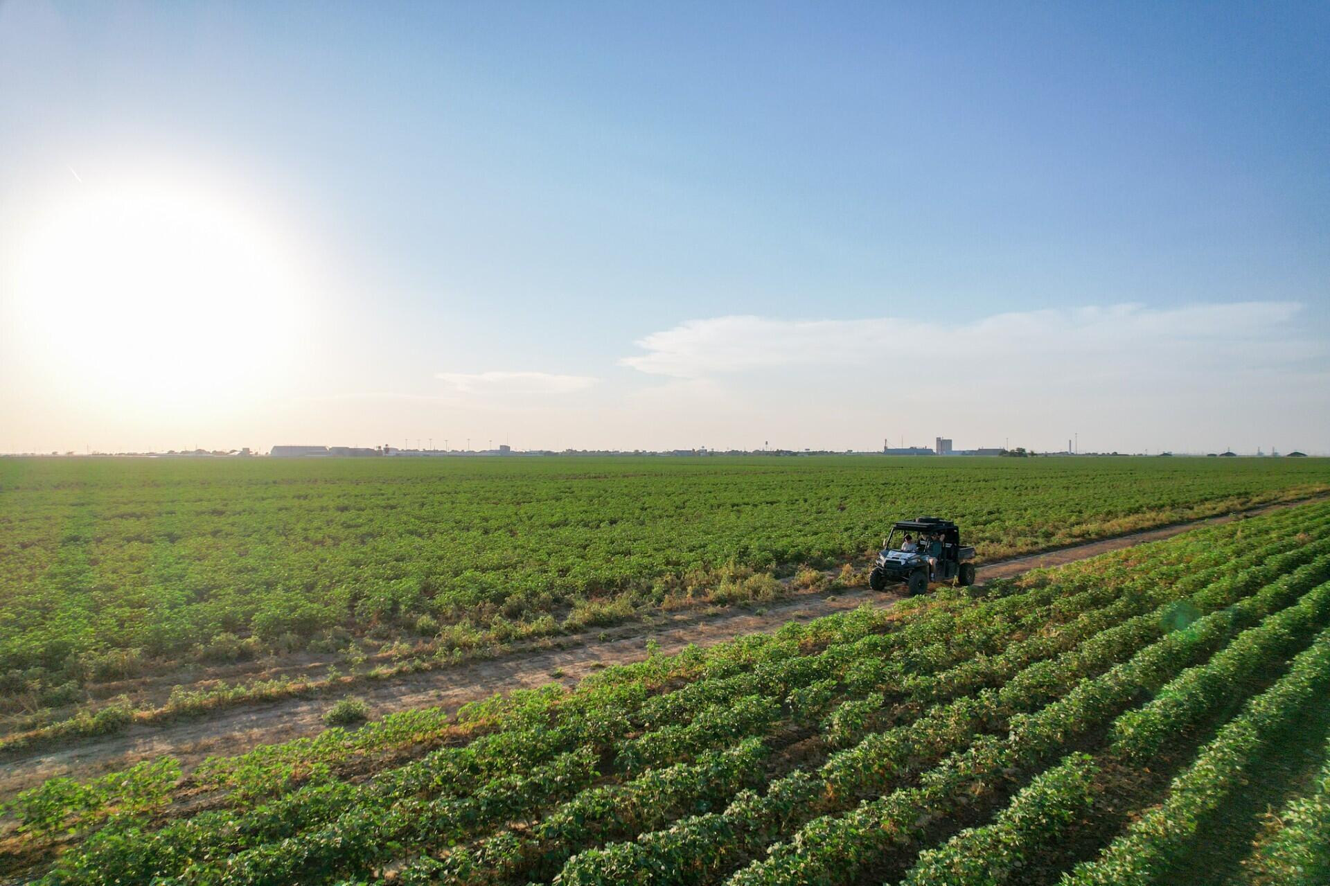 0 Shepard Street Abernathy, TX 79311 - Photo 7 of 7