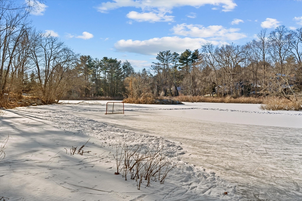 12 Sylvan Road Westwood, MA 02090 - Photo 33 of 33 Gallery Image 33