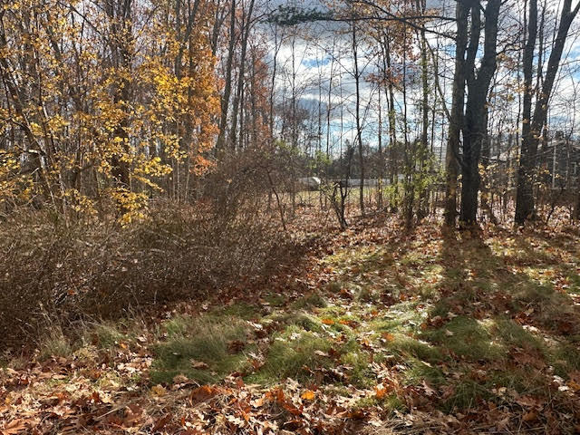 138 Congress Street Belfast, ME 04915 - Photo 56 of 56 unnamed