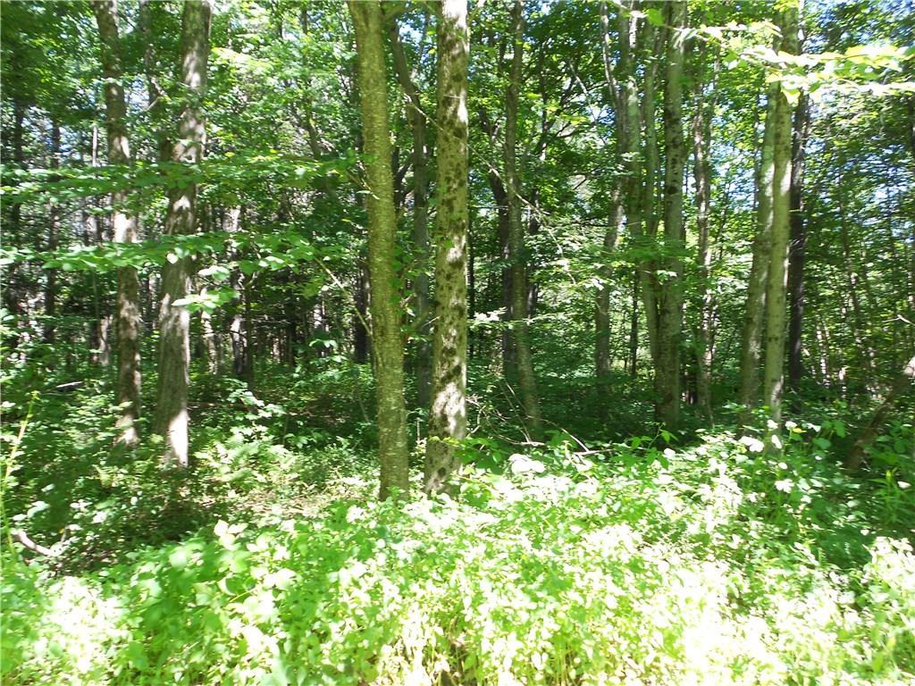 331 Millay Road Bowdoinham, ME 04008 - Photo 15 of 35 Beginning of wooded section of the...