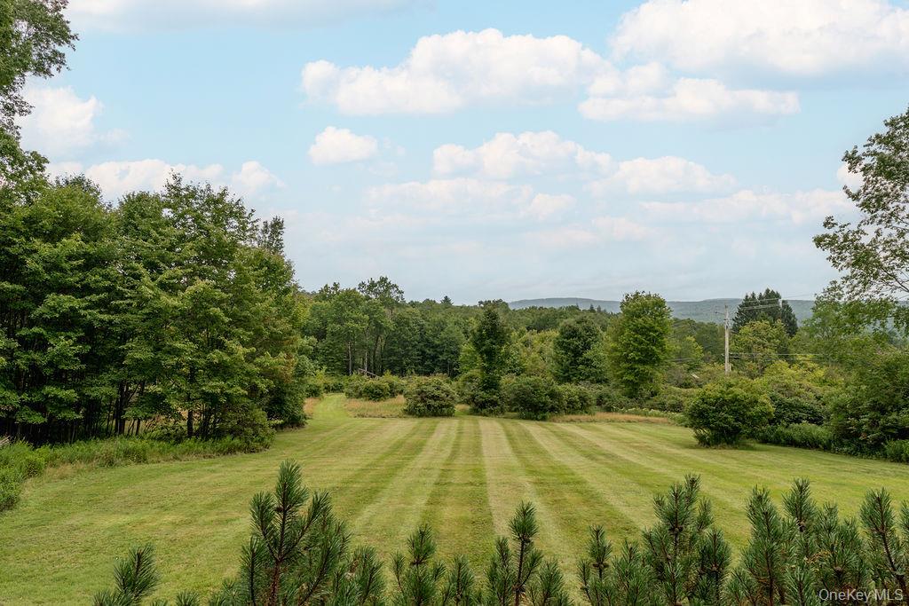 7 Morgan Road Livingston Manor, NY 12758 - Photo 6 of 34 Gallery Image 6