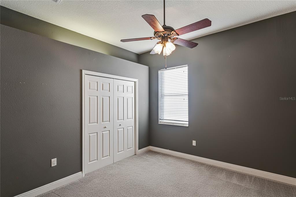 275 Planter Road Spring Hill, FL 34606 - Photo 45 of 77